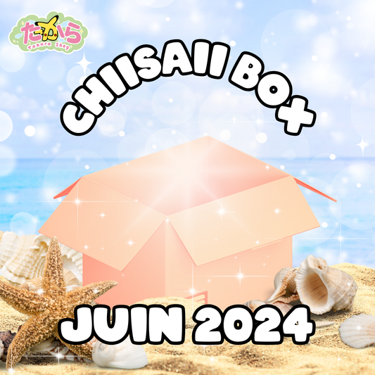 Chiisaii Box - JUIN 2024